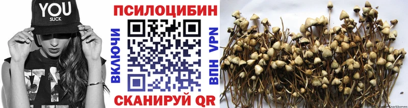 Псилоцибиновые грибы Psilocybe  где купить наркотик  Салават 